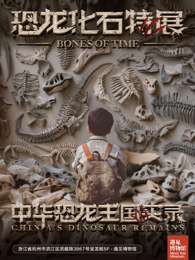 「」中華恐龍王國實錄：恐龍化石特展｜展覽休閒 | 遇見博物館·杭州館