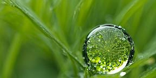 5-Day Retreat with Colette Power, Wales. 27th June 2nd July 2025 | Hill Cottage Retreat Centre