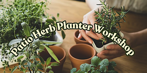 Patio Herb Planter Workshop | VI Plant Shop