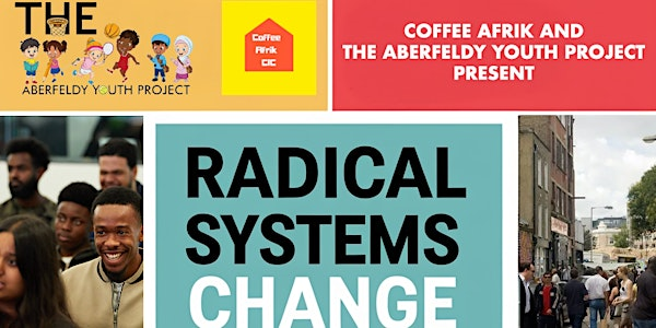 Radical Systems Change Research, Saving Young Lives  - Parliament Event. | House of Commons