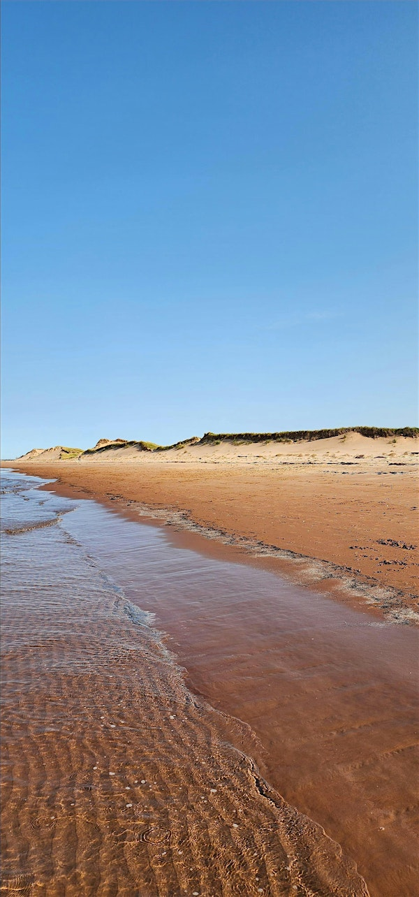 Beach Day | Tracadie Beach