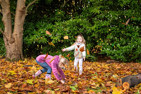 Spooky Nature Tots at The Wolseley Centre | The Wolseley Centre