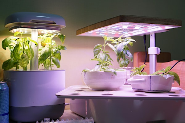 DIY Hydroponics Class | N.C. Cooperative Extension, Mecklenburg County Center