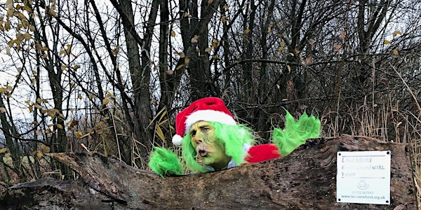 Mischievous Tree-Troll’s Grotto Takeover & Nature Trail | Brockholes Nature Reserve