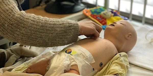 Becoming Simulation Faculty | UHBW Simulation Centre