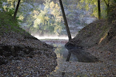 Golden Hour Hike to the Kentucky River | Floracliff Nature Sanctuary