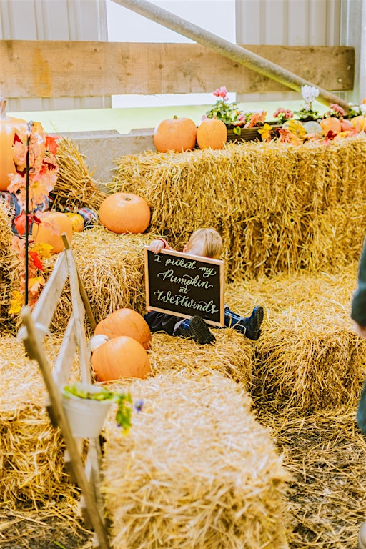 Mini Shoots at Westwinds | Westwinds Patch