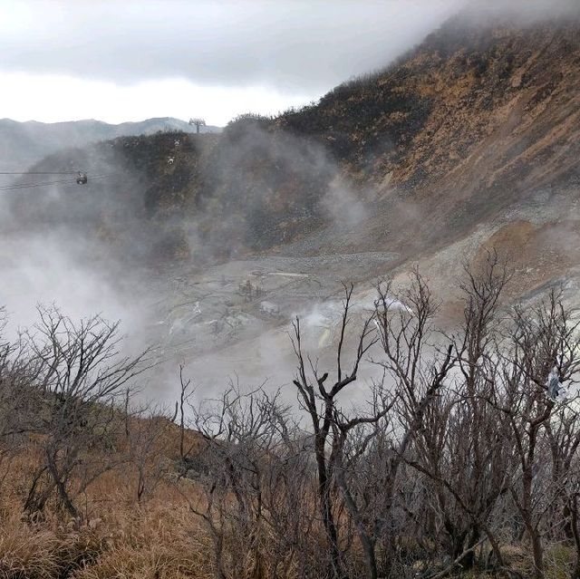 箱根大涌谷