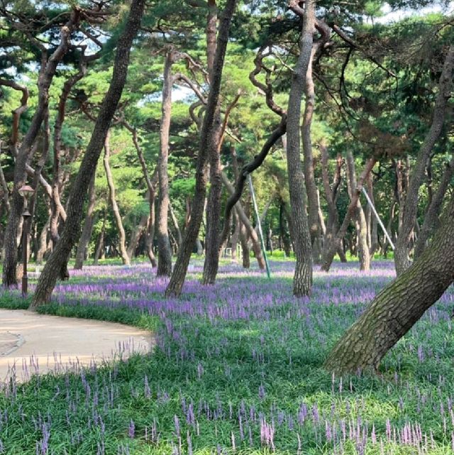 신라 화랑들의 장소를 찾아서