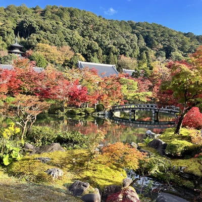 京都 永観堂の美しい紅葉 Trip Com 京都