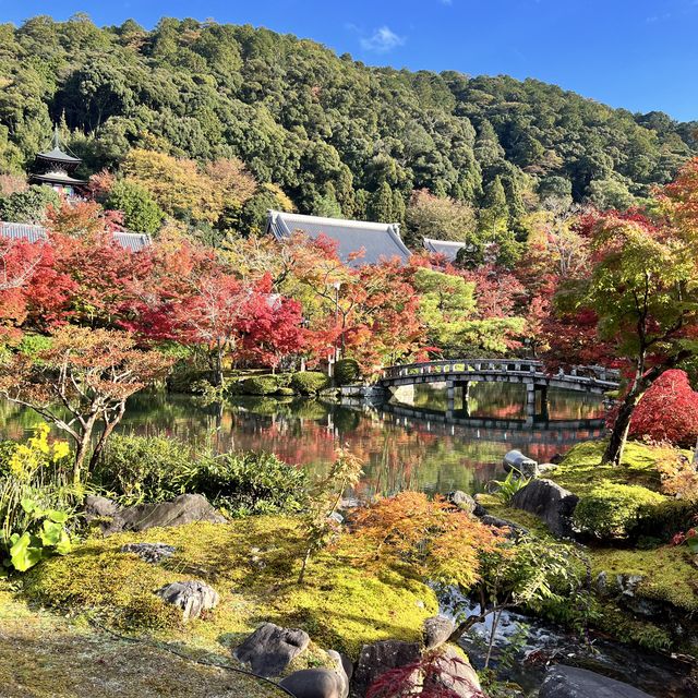 【京都】永観堂の美しい紅葉🍁