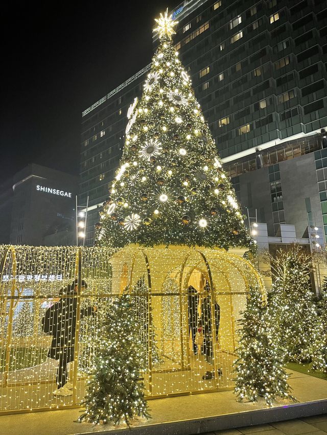 [트리 맛집]영등포 타임스퀘어에서 연말여행🎄🎁