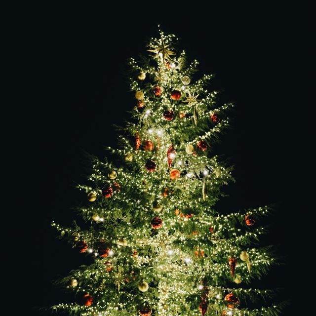 Christmas Market in 横浜赤レンガ倉庫
