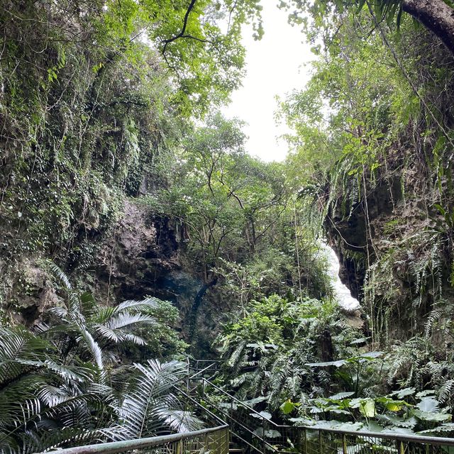 【沖縄･本島】沖縄南部で自然いっぱいのパワースポット