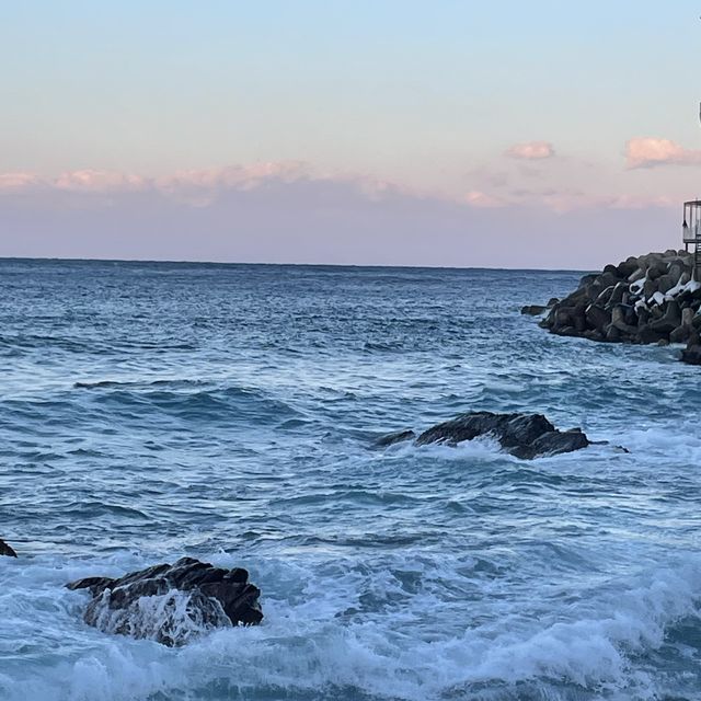 🌊혼자 강릉 정동진 여행하기!