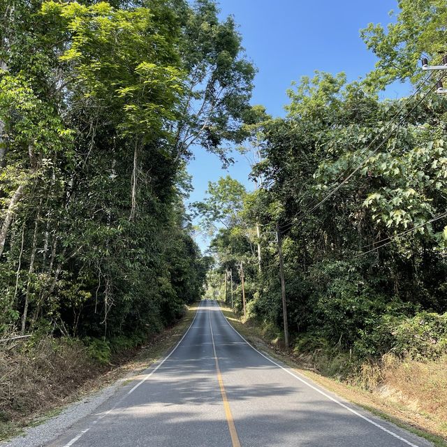 จุดชมวิวอุทยานแห่งชาติเขาใหญ่