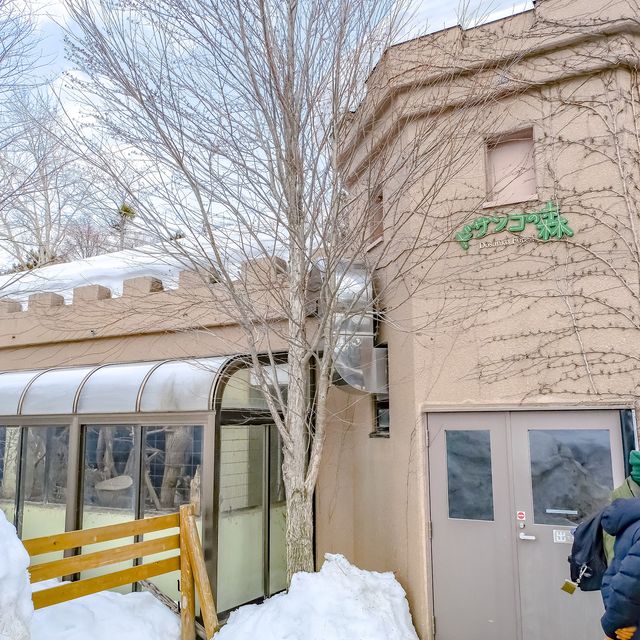 円山動物園のドサンコの森のウサギエリア