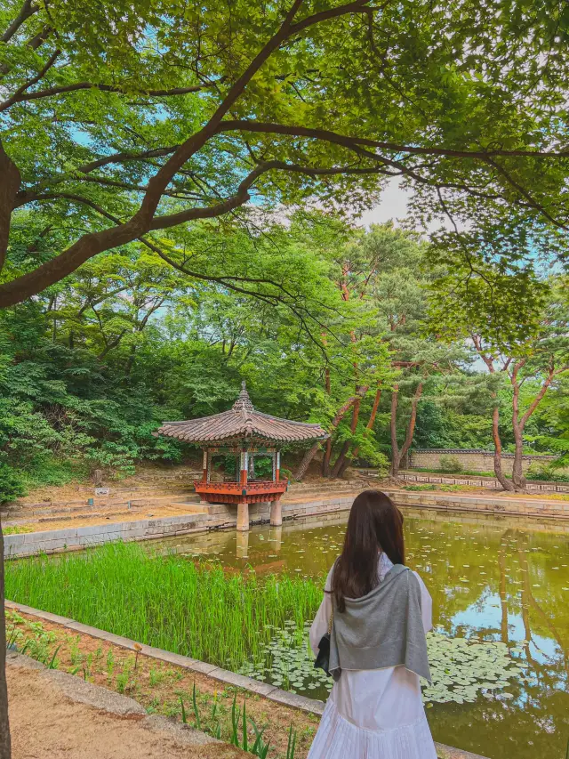 한국의 시크릿 가든 창덕궁 후원🍃