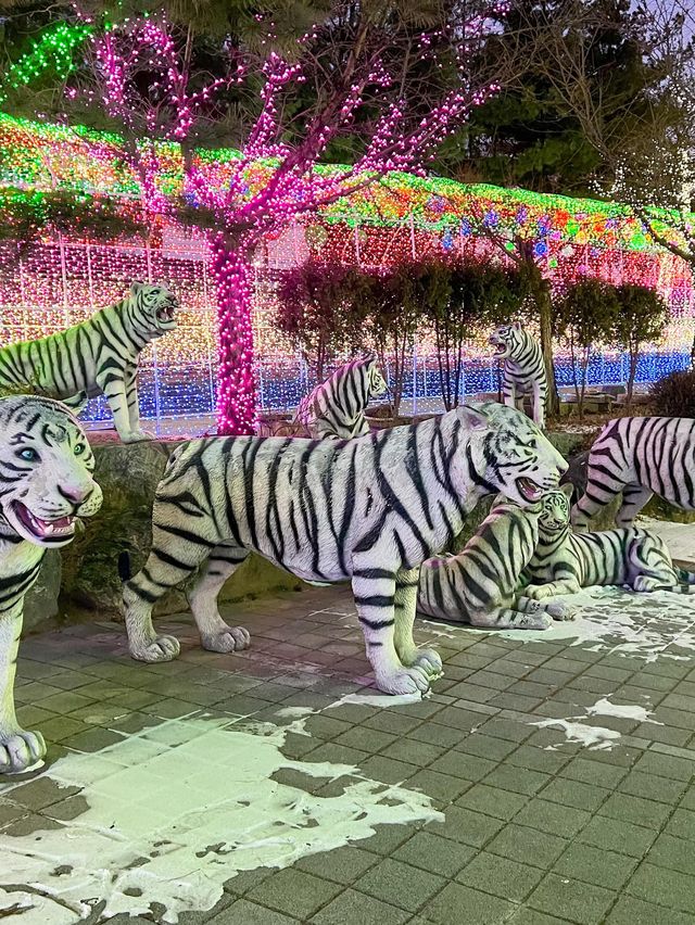 별빛마을포토랜드 애니멀빌리지 동물들과 찰칵📸