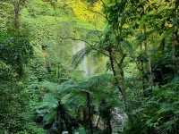 Wonderful waterfall in the center of Lombok