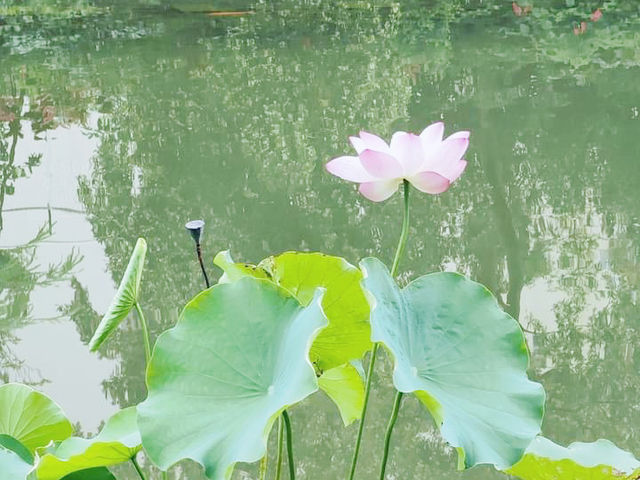 城門谷公園