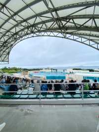 沖縄🌴美ら海水族館はサメがすごい❤️