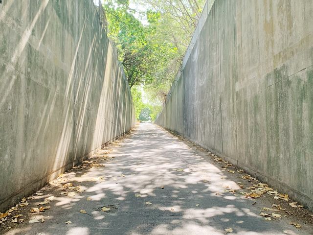 秘境之地～時光隧道