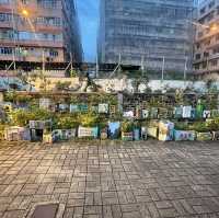 免費夜遊牛棚藝術村