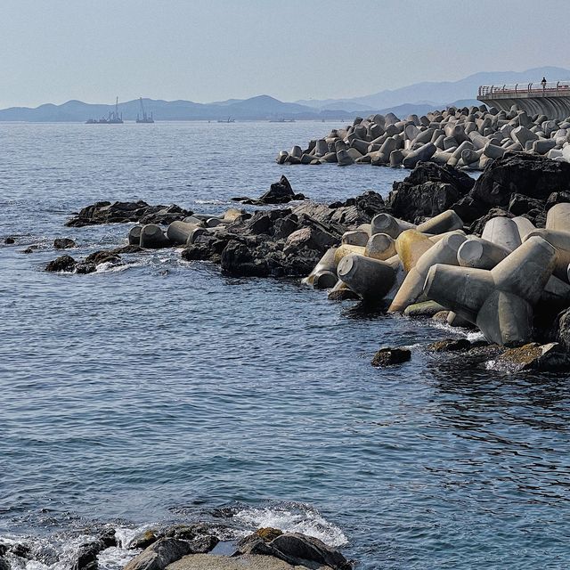 인생샷 건지는 뷰포인트 ! 🌊삼척 이사부길🌊