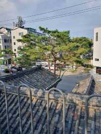 [서울/종로] 도시 속 여유로운 티타임🌱 "서울 오설록 티하우스"