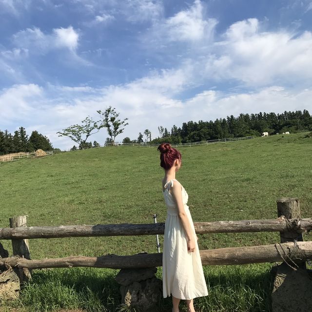청량함이 가득했던 제주 아침미소목장🌿