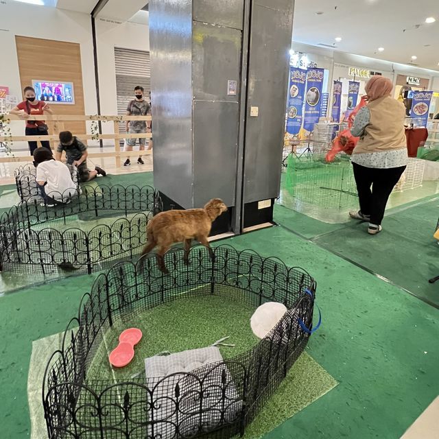 🇲🇾 KSL Animal farm 