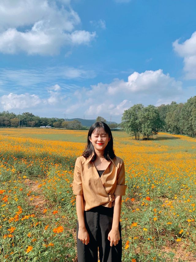 [고창]가을의 시작을 알리는 학원농장