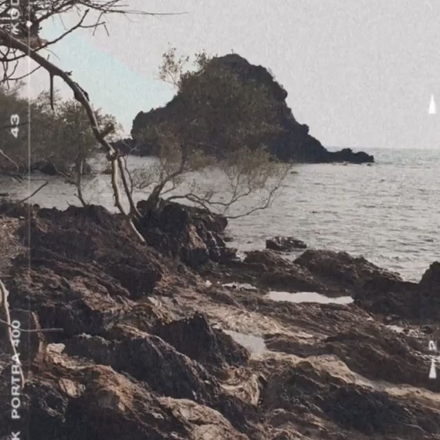 One Day Trip ดำน้ำ เกาะเสม็ด จังหวัดระยอง❤️ 