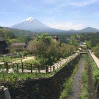 1000円札の富士山！ どこからの景色か御存知？ 絶景を見に行きませんか？