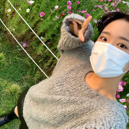 🌸 고하도 ‘코스모스‘ 🌸