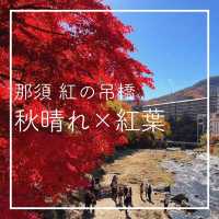  【秋晴れ×紅葉🍁 @那須 紅の吊橋】