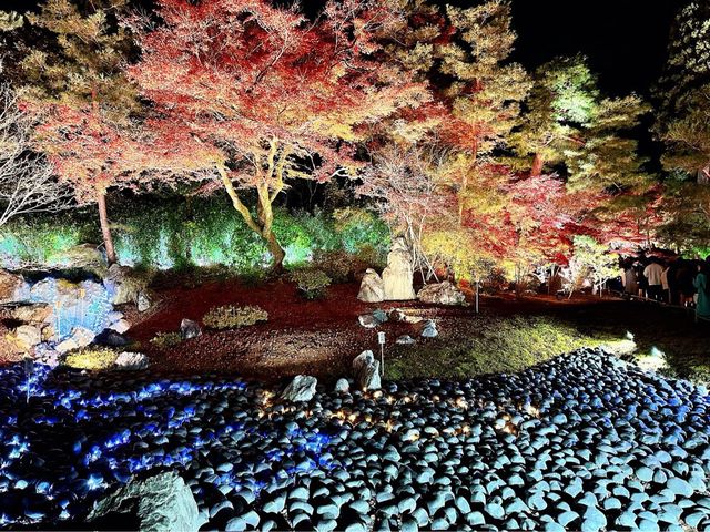 宝厳院ライトアップ