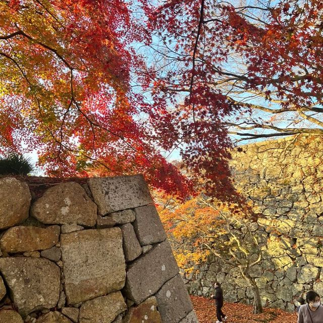 【岡山】城壁に美しい紅葉