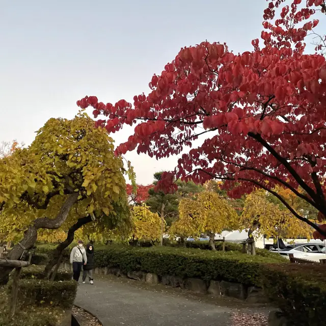 長野県　上田城跡公園