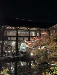 京都親子遊｜朱雀之庭賞夜楓