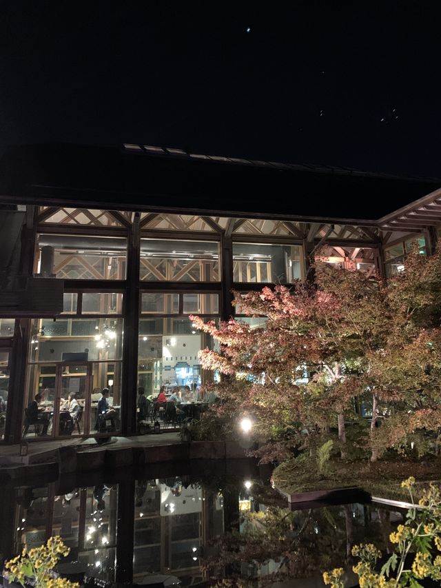 京都親子遊｜朱雀之庭賞夜楓