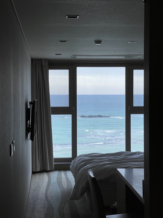 바다멍 맛집 🌊 함덕 숙소 추천