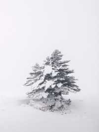 제주 눈 올때 갈만한 코스! 윗세오름 등반 ❄️