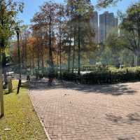 紅葉🍁打卡（青衣公園）市區內既紅葉交通超方便