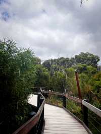 Trees and Twigs @ Yanchep National Park! 🫣🤩
