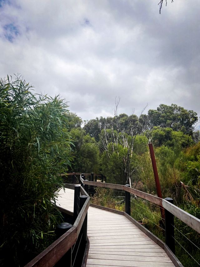 Trees and Twigs @ Yanchep National Park! 🫣🤩