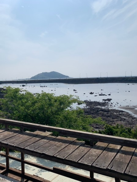 제주 한림 수요미식회에 나온 제주맛집, 명랑스낵