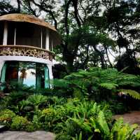 ค่าเฟ่สไตล์สวนป่า กลางเมืองเชียงใหม่