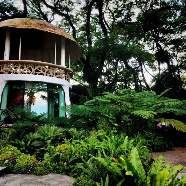 ค่าเฟ่สไตล์สวนป่า กลางเมืองเชียงใหม่